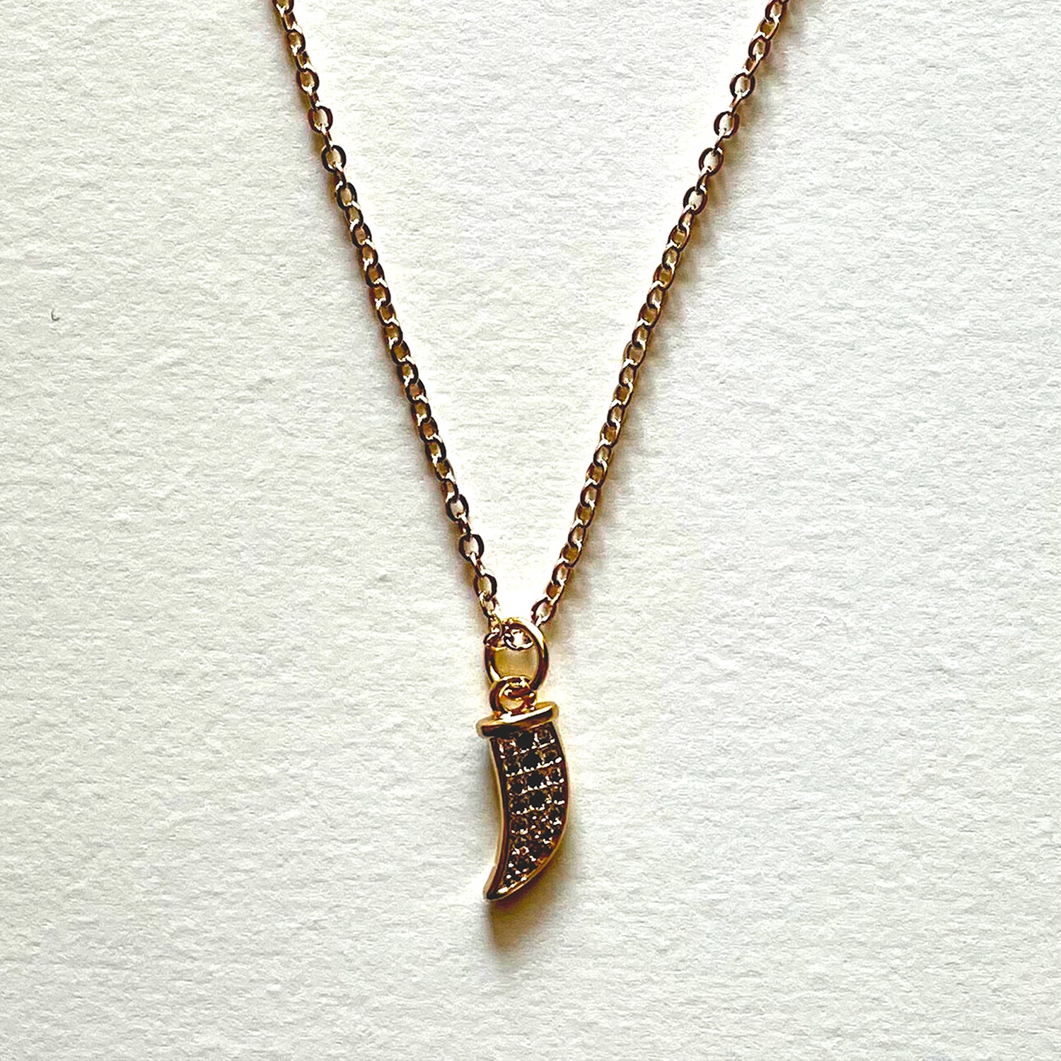 The horn necklace