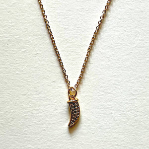 The horn necklace