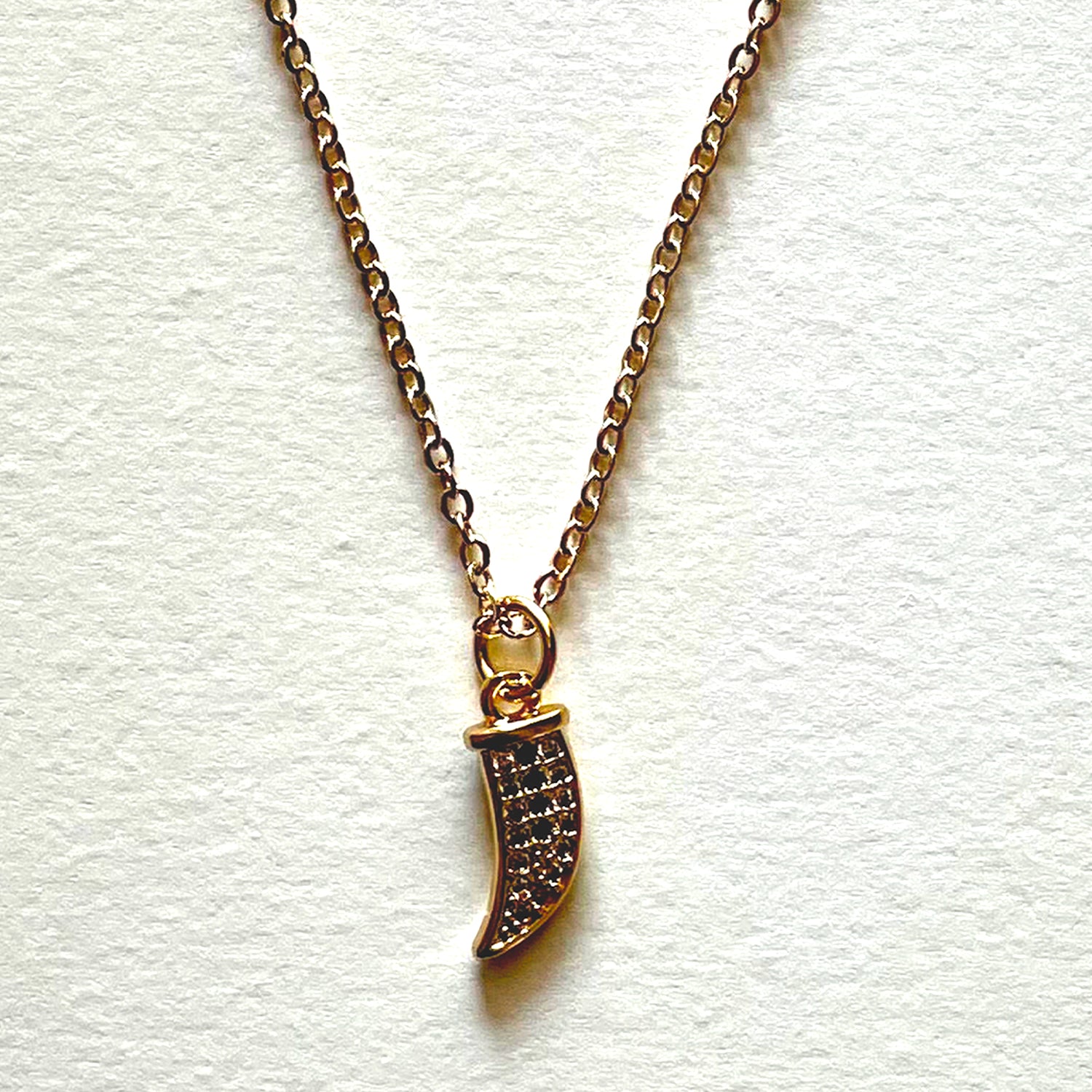 The horn necklace