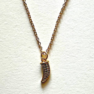 The horn necklace