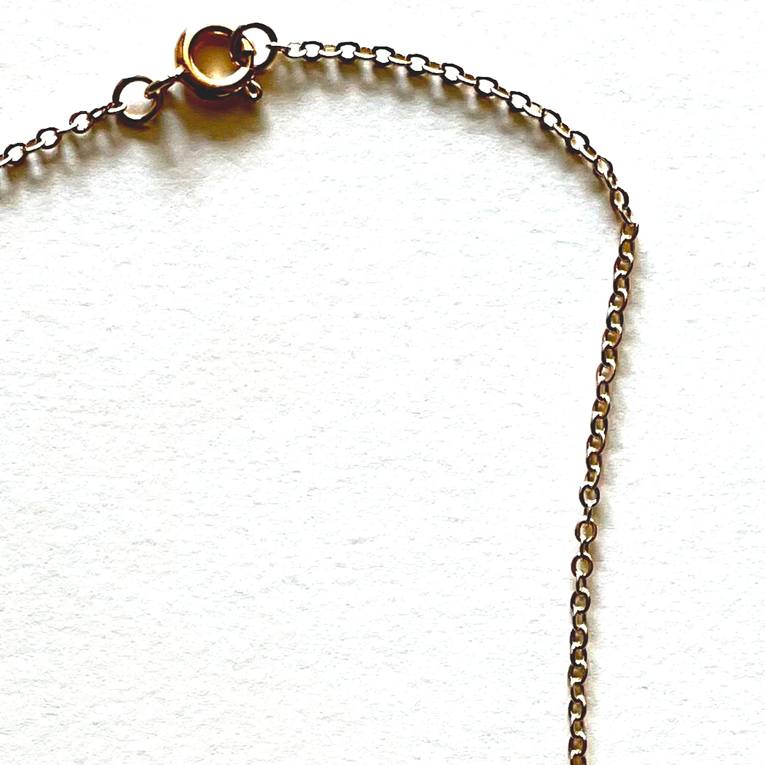 The horn necklace