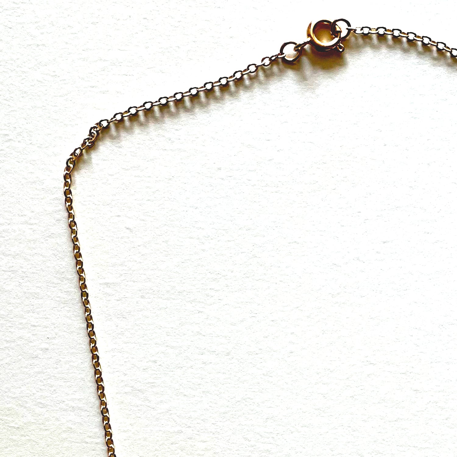 The horn necklace