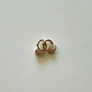 The golden little earrings