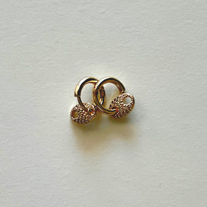 The golden little earrings