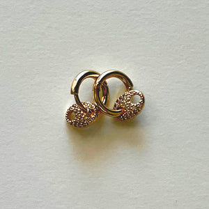 The golden little earrings